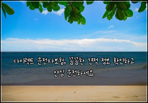  다이렉트 운전자보험, 꼼꼼한 견적 정보 확인하고 안심 운전하세요
