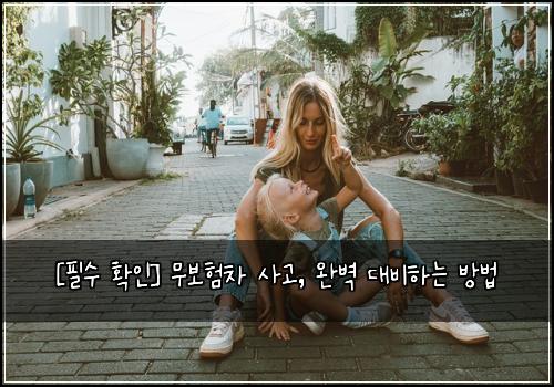  [필수 확인] 무보험차 사고, 완벽 대비하는 방법