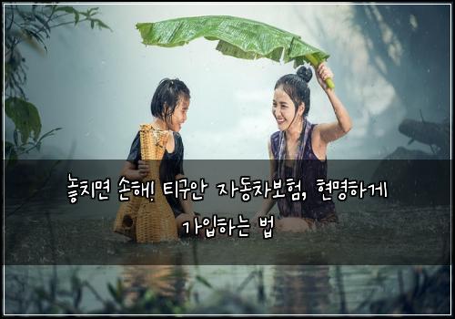  놓치면 손해! 티구안 자동차보험, 현명하게 가입하는 법