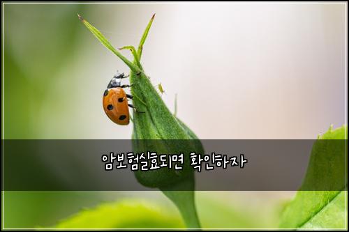 ์๋ณดํ์คํจ๋๋ฉด ํ์ธํ์