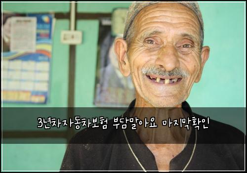 3년차자동차보험 부담말아요  마지막확인