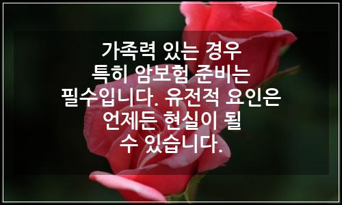 오늘의 이미지