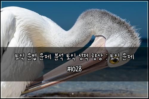 토익 문법 문제 분석 토익 성적 향상 : 토익 문제 #1028