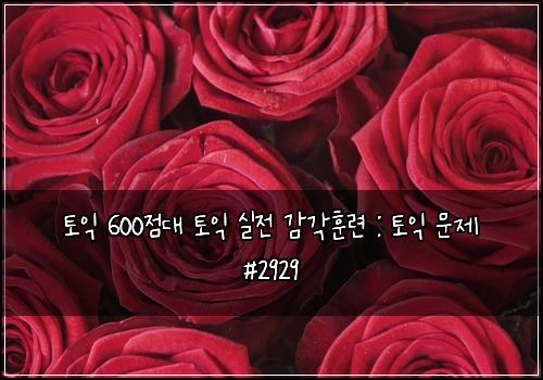 토익 600점대 토익 실전 감각훈련 : 토익 문제 #2929