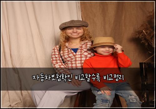 자동차보험확인 비교할수록 비교정리