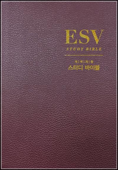 ์ญ์ฌ์ ๋ฌธํ ๋ฐฐ๊ฒฝ๊น์ง ํ ๋ฒ์! ESV ์คํฐ๋ ๋ฐ์ด๋ธ ๊ฐ์ญ๊ฐ์ ํ์ฉ๊ธฐ_3