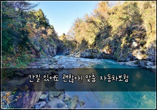 간질 있어도 괜찮아! 맞춤 자동차보험