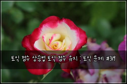 토익 점수 상승법 토익 점수 유지 : 토익 문제 #319