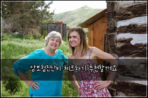 μ보νμ§λ¨λΉ 체ν¬νκΈ° μΆμ²ν κ»μ
