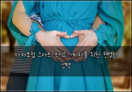  자차보험 스마트 초이스: 내 차를 위한 현명한 선택