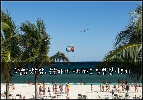 고혈압당뇨암, 든든하게 대비하는 방법 알아보기