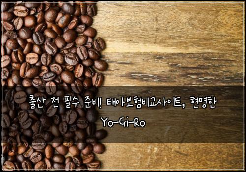 출산 전 필수 준비! 태아보험비교사이트, 현명한 Yo-Gi-Ro