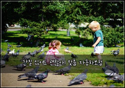 간질 있어도 괜찮아! 맞춤 자동차보험