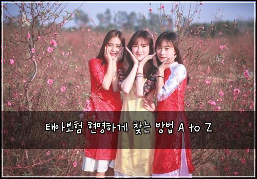 태아보험 현명하게 찾는 방법 A to Z