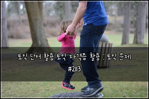토익 단어 활용 토익 자격증 활용 : 토익 문제 #2113
