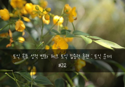 토익 목표 성적 변화 체크 토익 집중력 훈련 : 토익 문제 #212