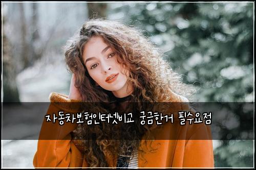 자동차보험인터넷비교 궁금한거 필수요점