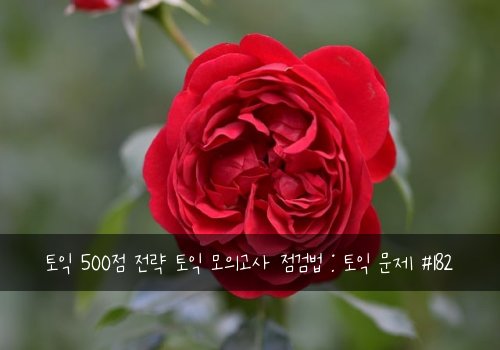 토익 500점 전략 토익 모의고사 점검법 : 토익 문제 #182