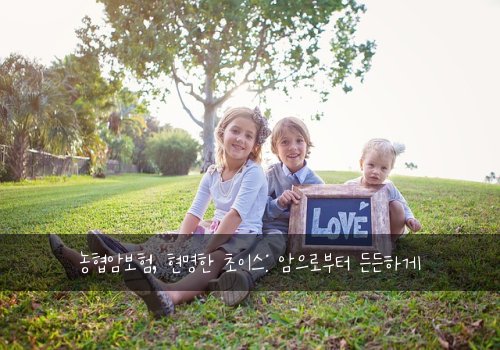  농협암보험, 현명한 초이스: 암으로부터 든든하게