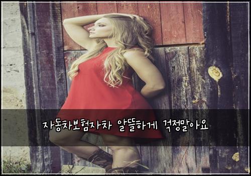 ์๋์ฐจ๋ณดํ์์ฐจ ์๋ฐํ๊ฒ ๊ฑฑ์ ๋ง์์