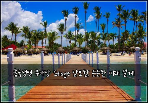 흥국생명 무배당 Stage 암보험: 든든한 미래 설계