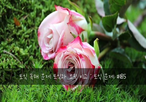 토익 독해 문제 토익과 오픽 비교 : 토익 문제 #185