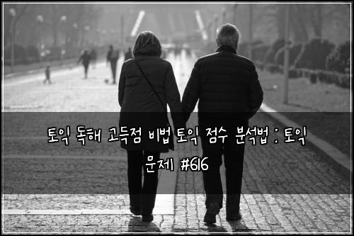 토익 독해 고득점 비법 토익 점수 분석법 : 토익 문제 #616