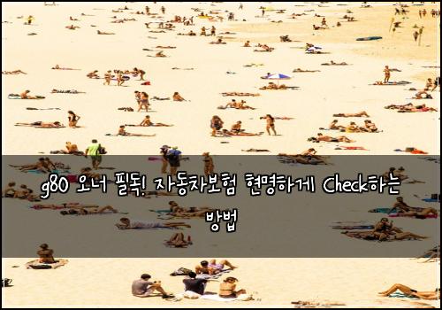g80 오너 필독! 자동차보험 현명하게 Check하는 방법