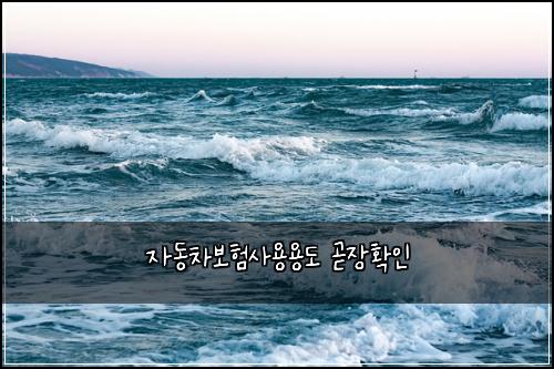 자동차보험사용용도 곧장확인