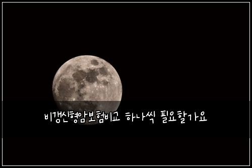 비갱신형암보험비교 하나씩 필요할가요