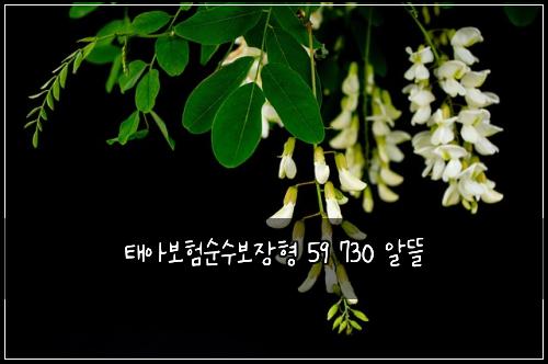 태아보험순수보장형 59 730 알뜰