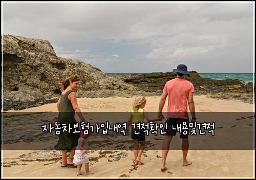 자동차보험가입내역 견적확인 내용및견적