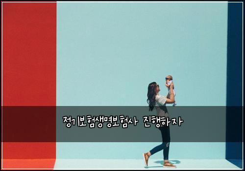정기보험생명보험사 진행하자