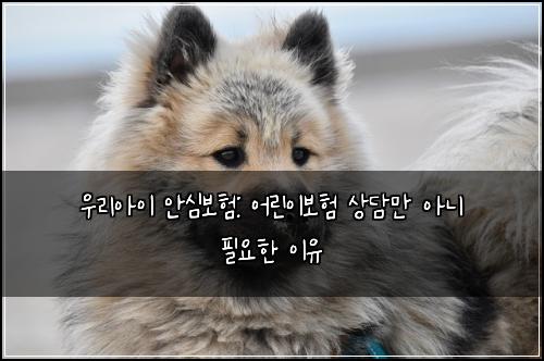 우리아이 안심보험: 어린이보험 상담만 아니 필요한 이유