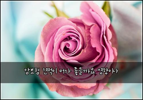 ์๋ณดํ ๊ฒฌ์ ์ด ๋จธ๊ฐ ์ข์๊น์ ์ํฅ์ด๋
