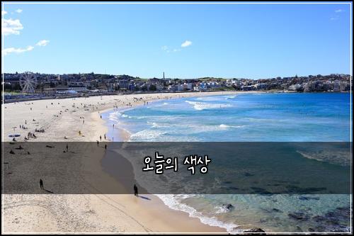 오늘의 색상