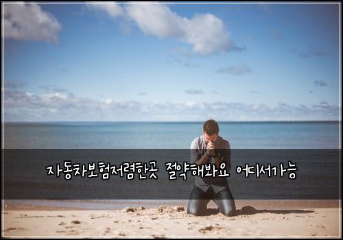 μλ차보νμ λ ΄νκ³³ μ μ½ν΄λ΄μ μ΄λμκ°λ₯