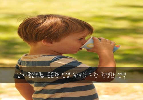  남자종신보험, 든든한 인생 설계를 위한 현명한 선택