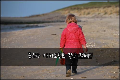 중고차 자차보험료 절약 캠페인