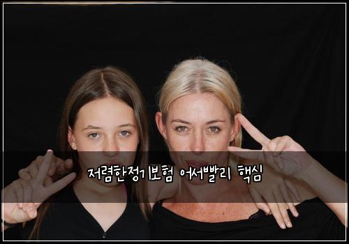저렴한정기보험 어서빨리  핵심