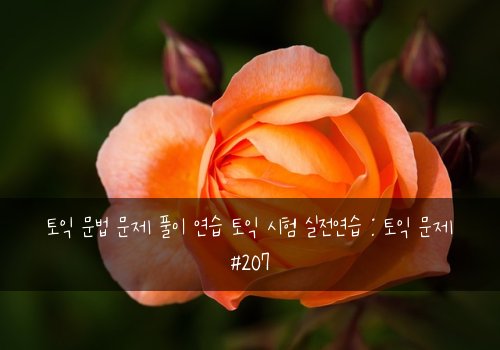 토익 문법 문제 풀이 연습 토익 시험 실전연습 : 토익 문제 #207