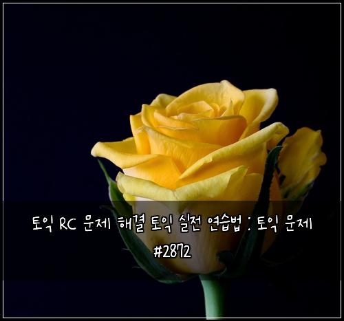 토익 RC 문제 해결 토익 실전 연습법 : 토익 문제 #2872