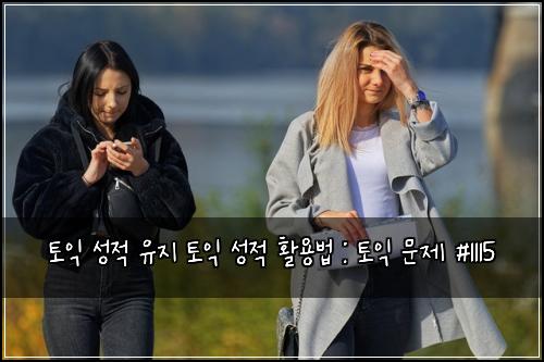 토익 성적 유지 토익 성적 활용법 : 토익 문제 #1115