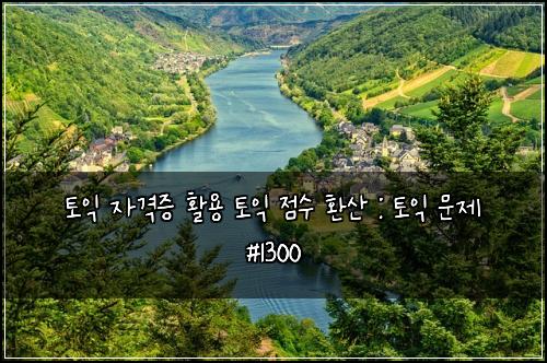 토익 자격증 활용 토익 점수 환산 : 토익 문제 #1300