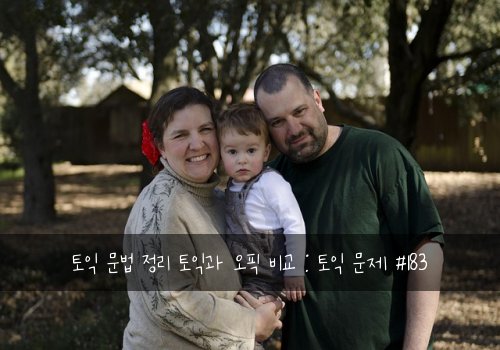 토익 문법 정리 토익과 오픽 비교 : 토익 문제 #183