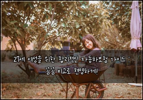 27세 여성을 위한 합리적인 자동차보험 가이드 : 꼼꼼 비교로 현명하게!