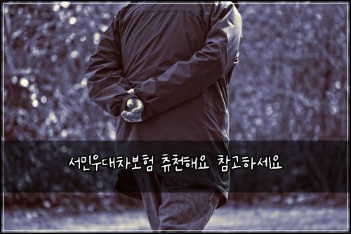 ์๋ฏผ์ฐ๋์ฐจ๋ณดํ ์ธ์ฒํด์ ์ฐธ๊ณ ํ์ธ์