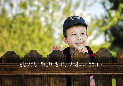  농협암보험, 현명한 초이스: 암으로부터 든든하게