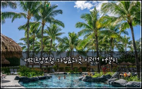 ๋ฉ๋ฆฌ์ธ ์๋ณดํ ๊ฐ์
ํจ๊ณผ๊ตฟ ์ด๋ฐ๊ฑด ์ด๋จ์ง