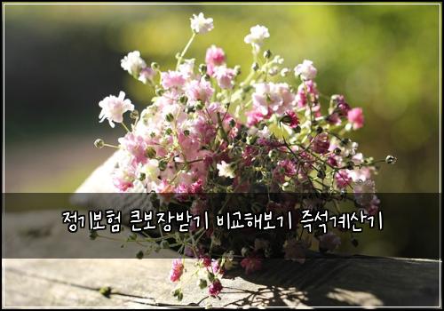 정기보험 큰보장받기  비교해보기 즉석계산기